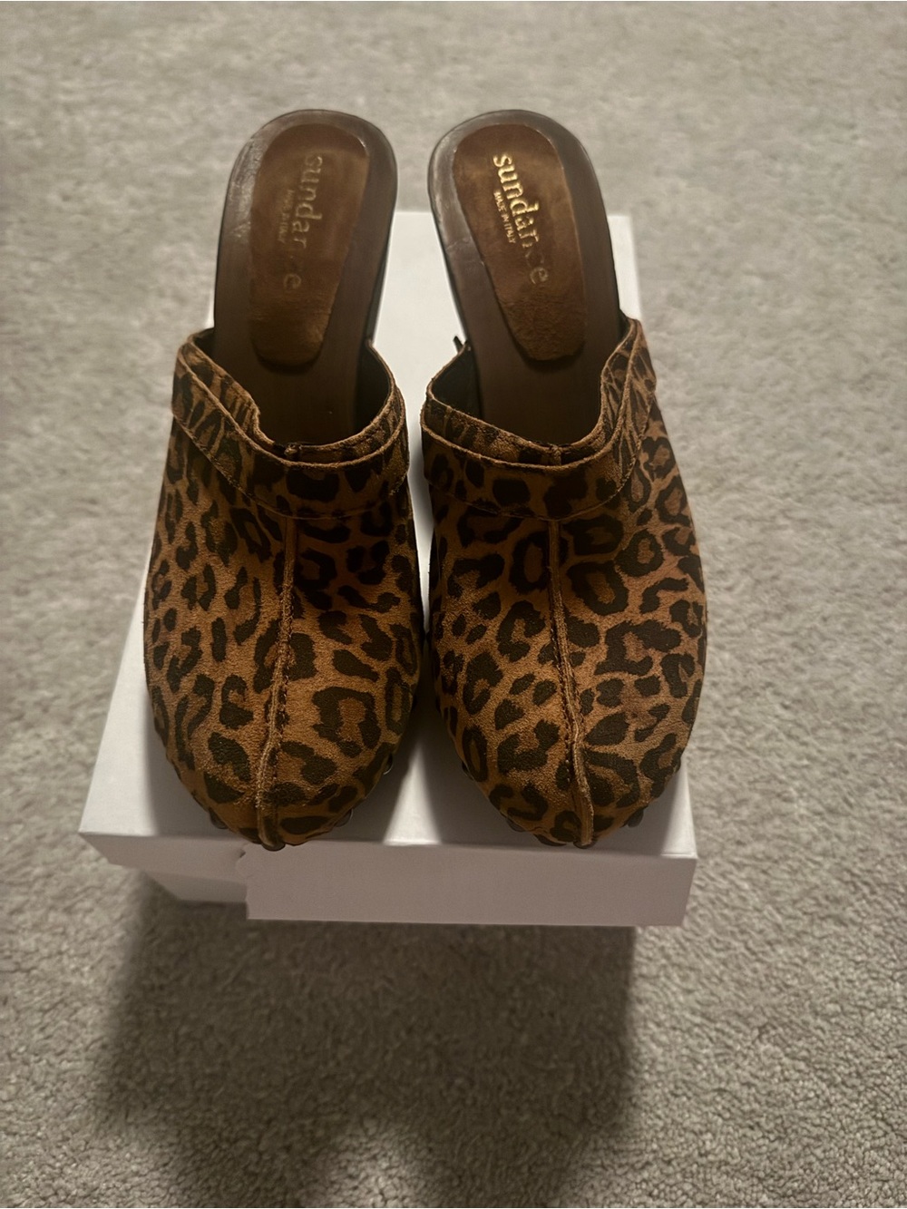 Sundance Leopard-Print Brown Suede Mule Clogs